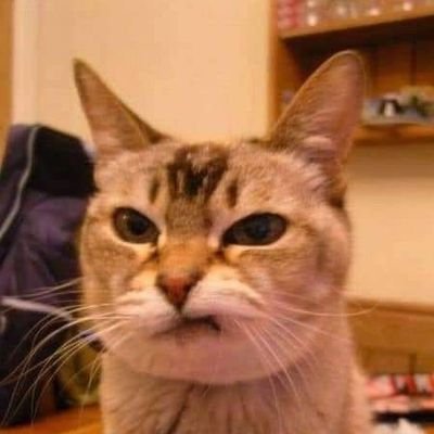 EltonHeith43432's tweet photo. Money helps you prepare for unexpected expenses. https://t.co/63WZ3WKgst