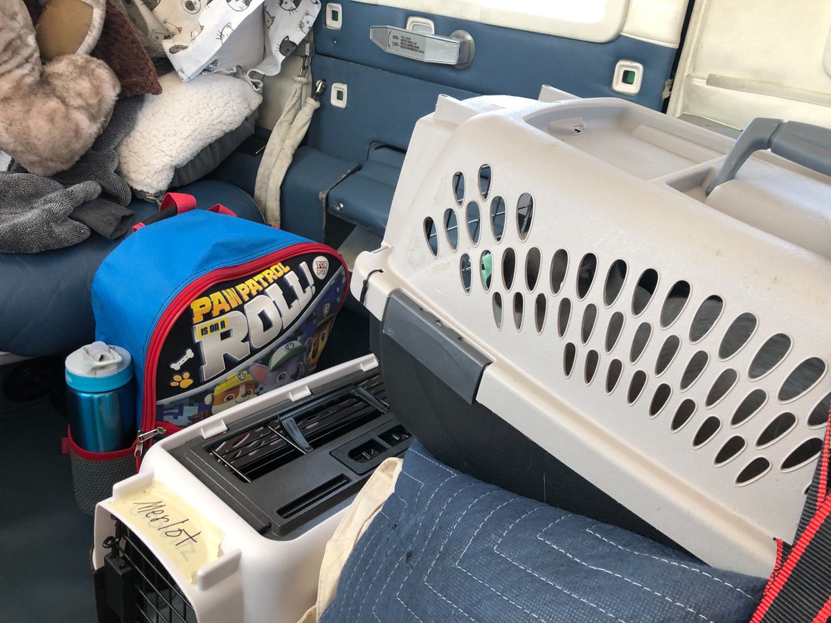 JeppForeFlight's tweet photo. Meet Josh, a Team ForeFlight superhero. He and his family took to the skies for a heartwarming mission with #PilotNPaws. They flew from VA to NH to relocate 6 adorable kittens in need of new homes! 🐱 Kudos to Josh and his family for making a paws-itive impact! 🐾❤️ https://t.co/our6k5tUT0
