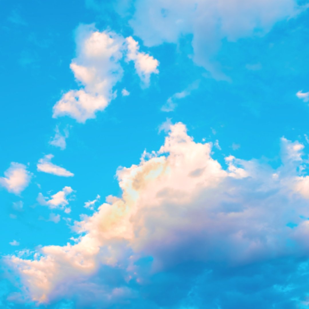 Maximilian Brinkmann-Brand 🌻 tweet media