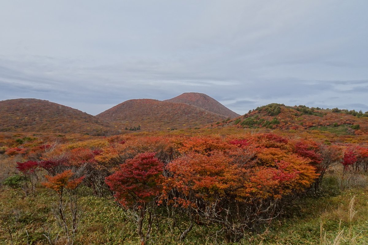 hakodate_esan tweet picture