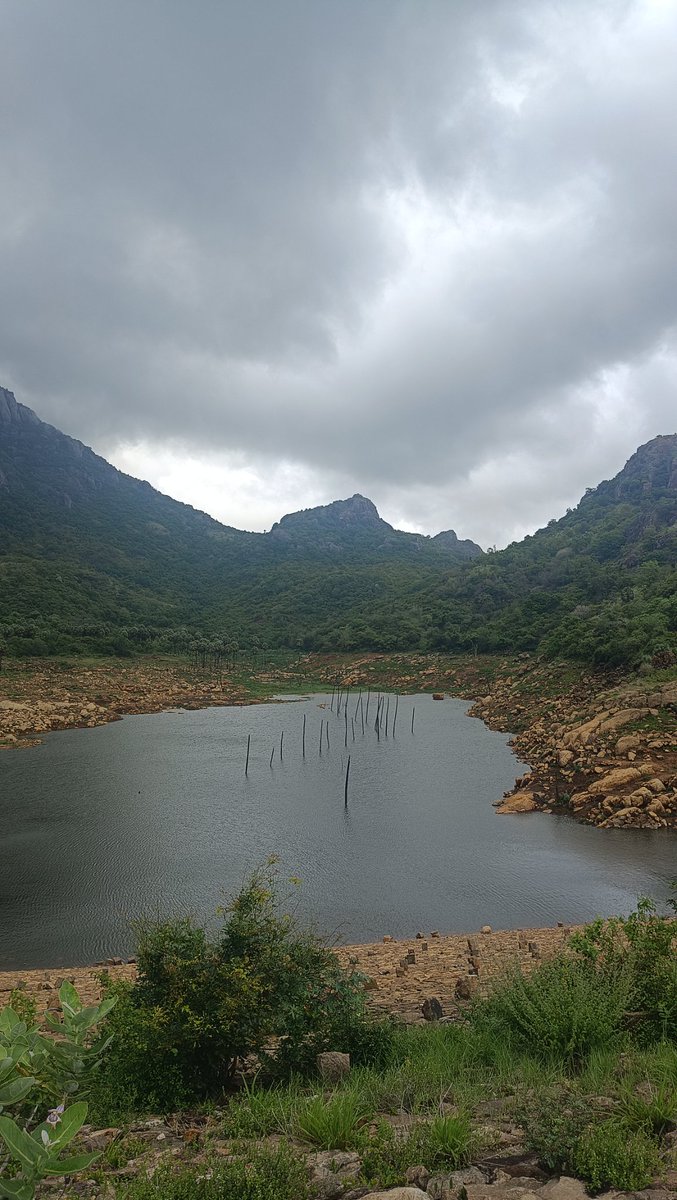 surjithsethu's tweet photo. Pics of recently filled mambazhathuraiyaru dam in #Kanyakumari dist,which was just 4 feet 20 days back, has reached total feet of 54.Has received 746mm this October. 
First pic taken 20days back,3rd pic is recent one. 
@ChennaiRains @praddy06 @MasRainman @kalyanasundarsv https://t.co/MoubydvGt2