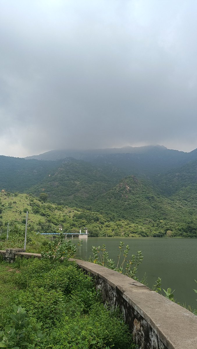 surjithsethu's tweet photo. Pics of recently filled mambazhathuraiyaru dam in #Kanyakumari dist,which was just 4 feet 20 days back, has reached total feet of 54.Has received 746mm this October. 
First pic taken 20days back,3rd pic is recent one. 
@ChennaiRains @praddy06 @MasRainman @kalyanasundarsv https://t.co/MoubydvGt2