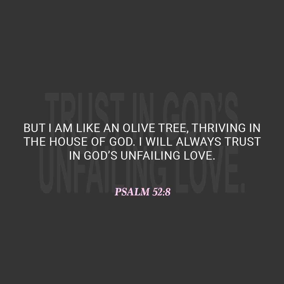 // verse of the day //

But I am like an olive tree, thriving in the house of God. I will always trust in God’s unfailing love.

Psalm 52:8

#VerseOfTheDay