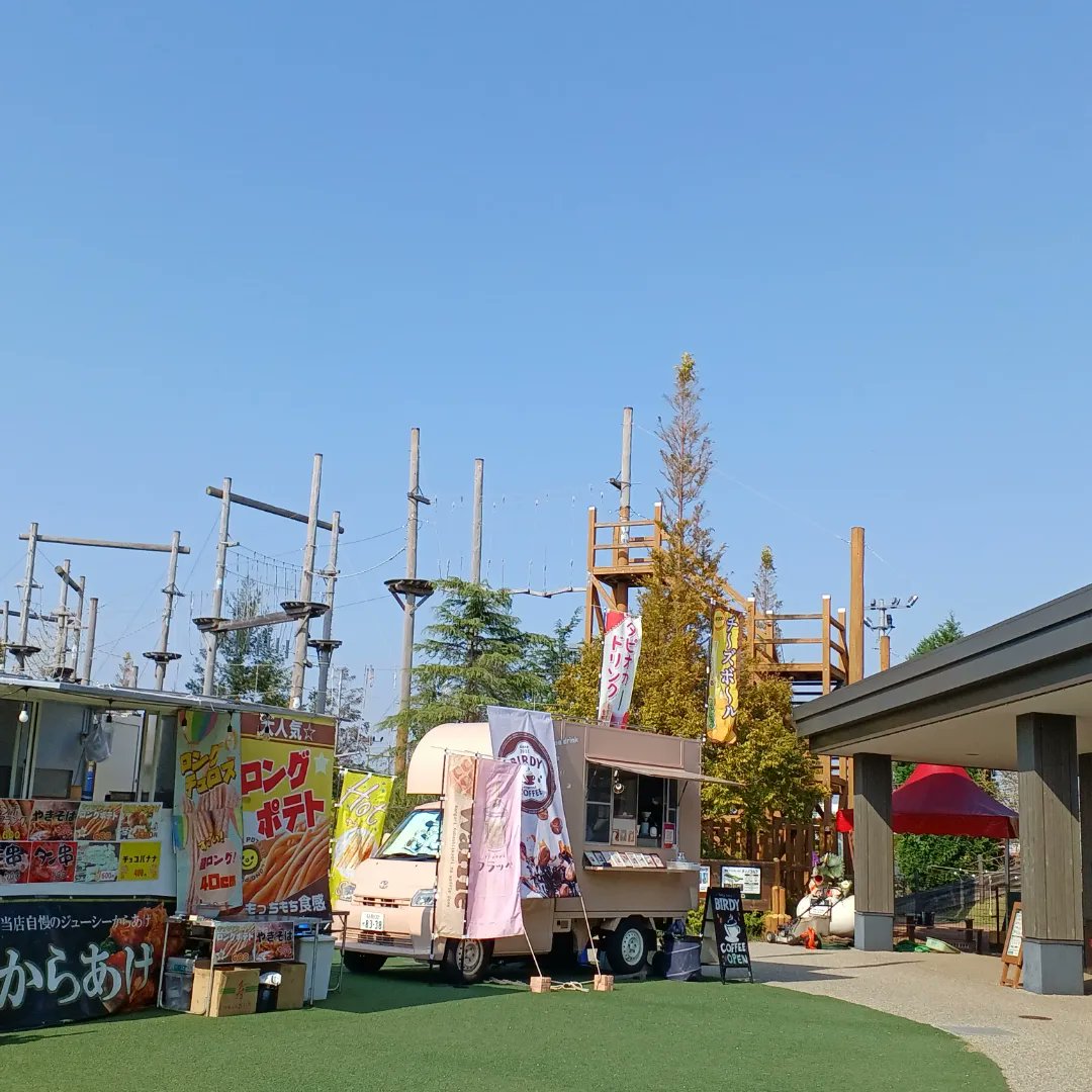 WonderSky55's tweet photo. 皆さん！こんにちは！🌿
本日のワンダースカイ・ワンダージャンプは快晴で、まさにアスレチック日和となっております！☀️🎃

そして、キッチンカ��もSORA広場に来てくださってます！美味しそうです🍴
楽しく遊んでモリモリ食べましょう！

#イオンモール常滑
#ワンダースカイ https://t.co/AU2WOeaOVX