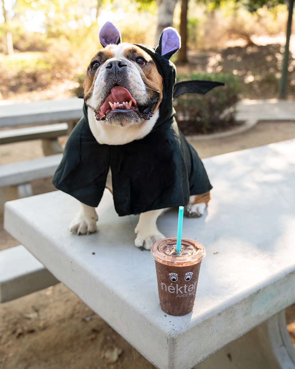 Every sip is spooktacular 😍👻🧟‍♂️😈🧛

Follow us on IG @claremontpackinghouse for more details ✨

#smoothies #smoothielover #healthylifestyle #healthysnacks #claremontpackinghouse #claremontvillage #claremontcalifornia