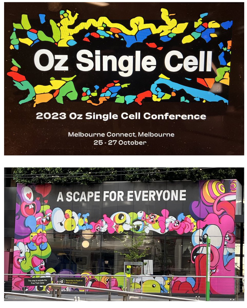 Zherui Xiong tweet media