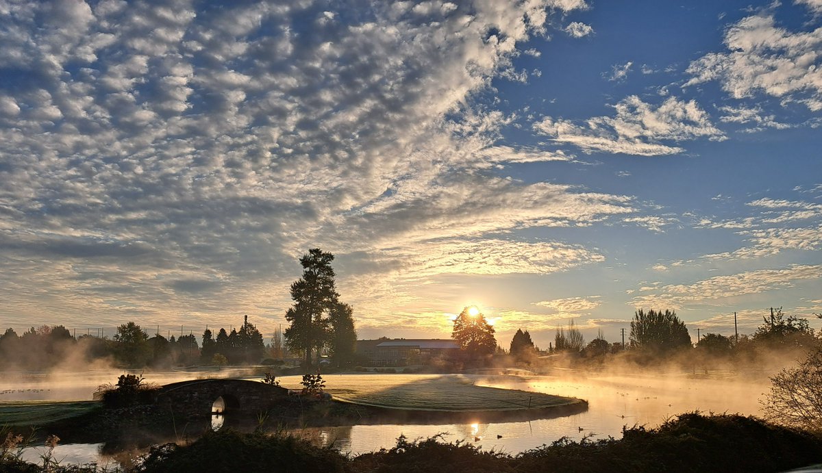 KGordonGlobalBC's tweet photo. Misty west coast morning!
1. Sunrise from Spruce Hills Ski Resort near 100 Mile House by Steve Magee
2. Morning on Meadows Garden Golf Course by Erin Powers
3. Squamish by Amanda Patterson 
4 Hotel Lake near Pender Harbour by Shari Stephens
#globalbcweatherwindow #globalbcweather https://t.co/gQqXRT1VbE