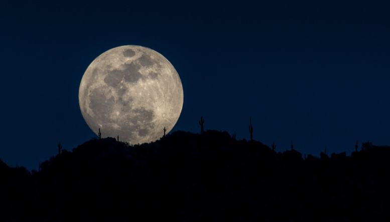 experiencefhaz's tweet photo. Fountain Hills is one of the few dark sky communities in the world and the only one in the Greater Phoenix area! Experience the night sky at its best in Fountain Hills! ! #experiencefountainhills #darksky #azdarksky #arizonasbest https://t.co/aZvzqJYCMY
@ADEROscottsdale https://t.co/dBKU5iRvdW