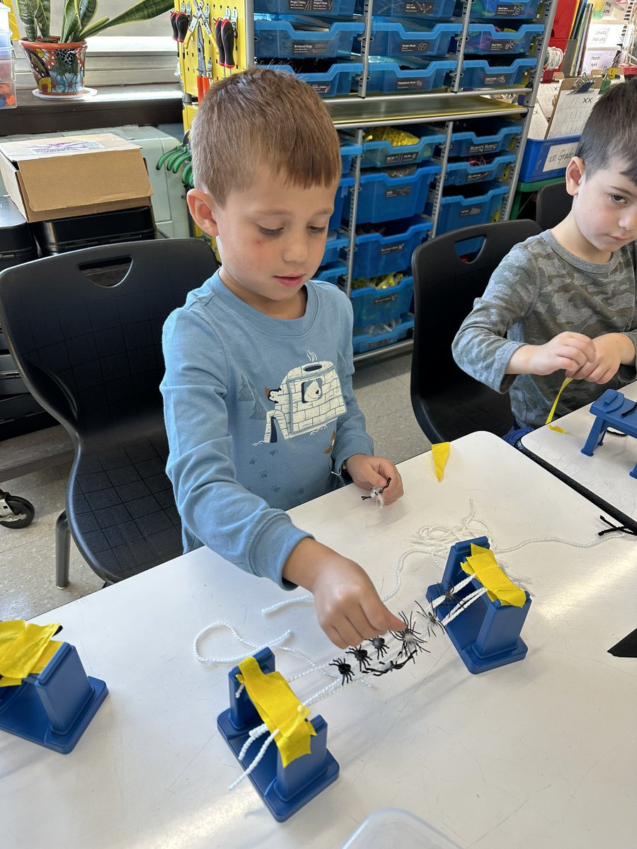 WantaghSTEAM's tweet photo. Ks are hard at work using their knowledge of spider webs to build web bridges that will hold the most spiders! Way to go lil engineers! @wantaghel @WantaghSchools #elementarystem #elementarysteam #stemed https://t.co/18CxjyJ9D8