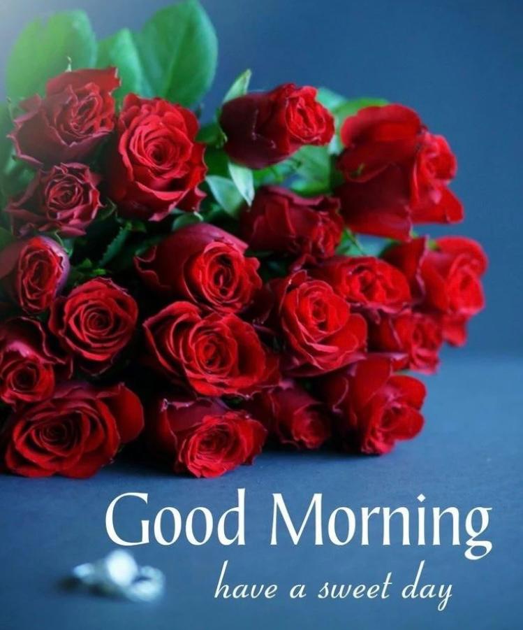 Endi Bandel (@endibandel2) on Twitter photo 