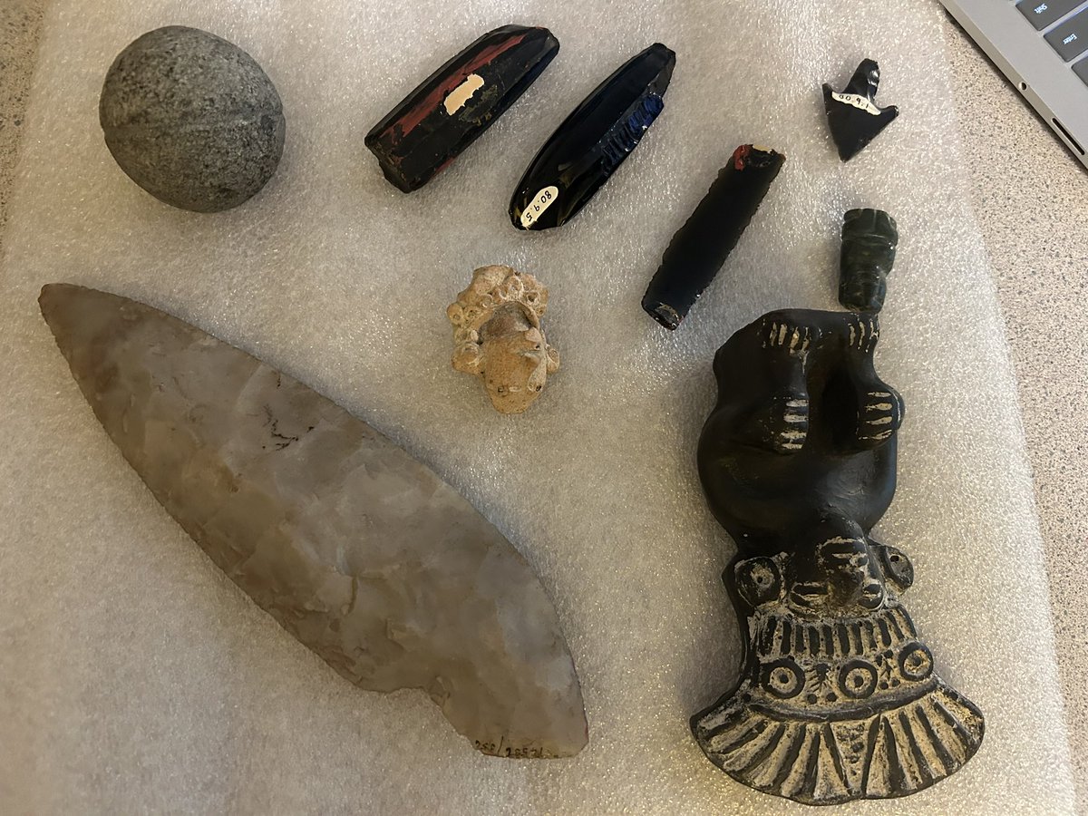 Mrs Alycen Shewell tweet media