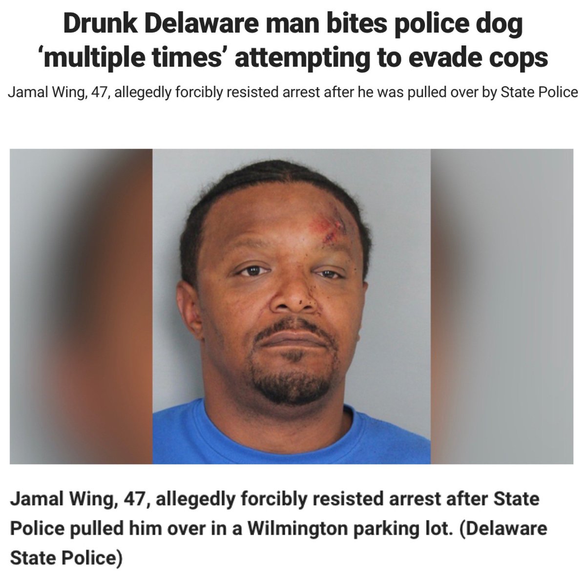 All Out Show tweet media