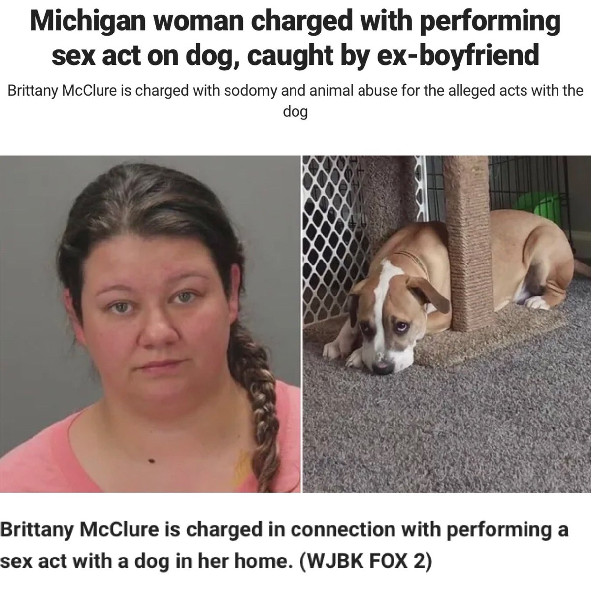 All Out Show tweet media