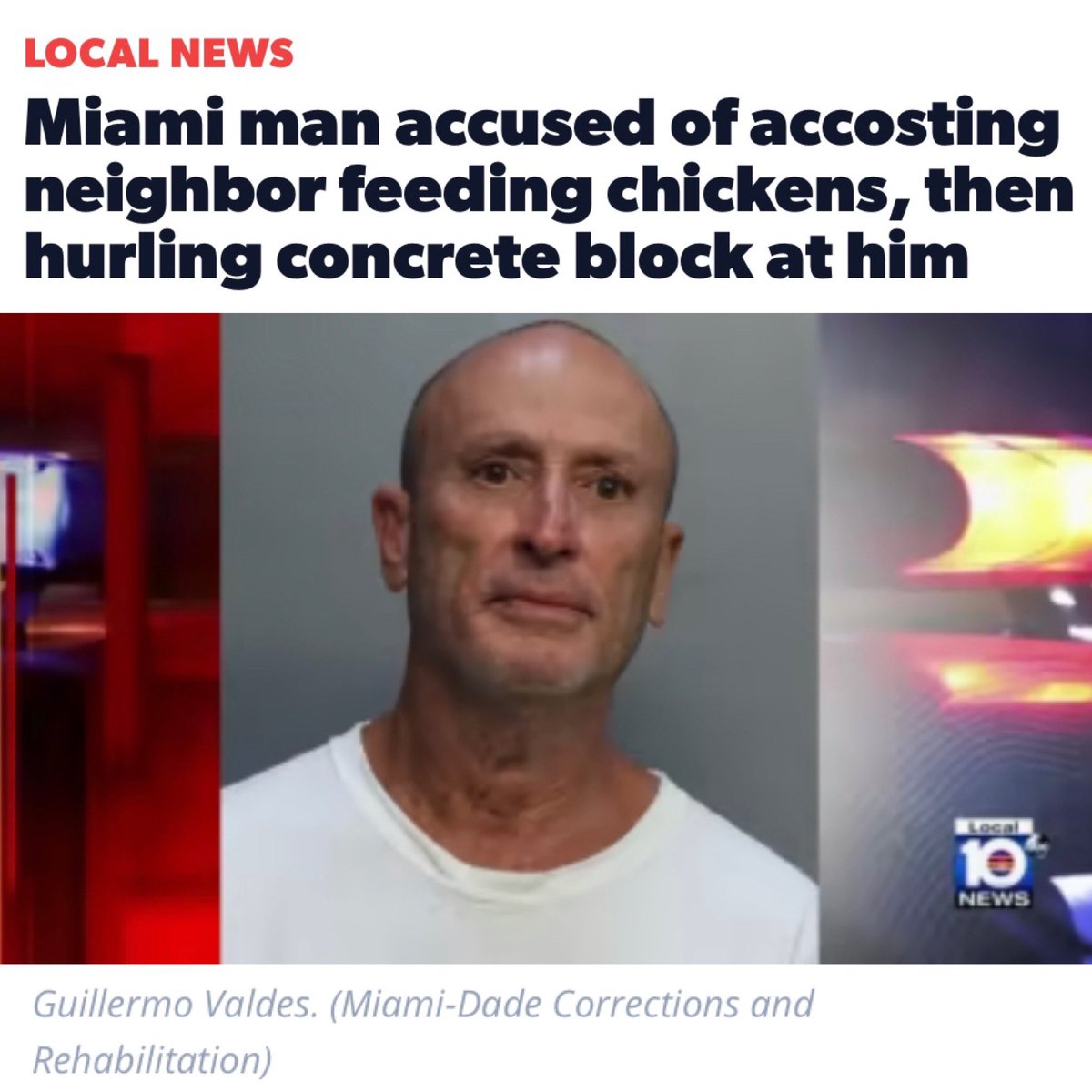 All Out Show tweet media