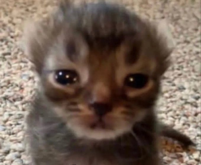 I&rsquo;m so cringe sometimes https://t.co/t1O49cvpWb<a href="/tag/throne"class="tags"><span>#throne</span></a><a href="/tag/wishlist"class="tags"><span>#wishlist</span></a>