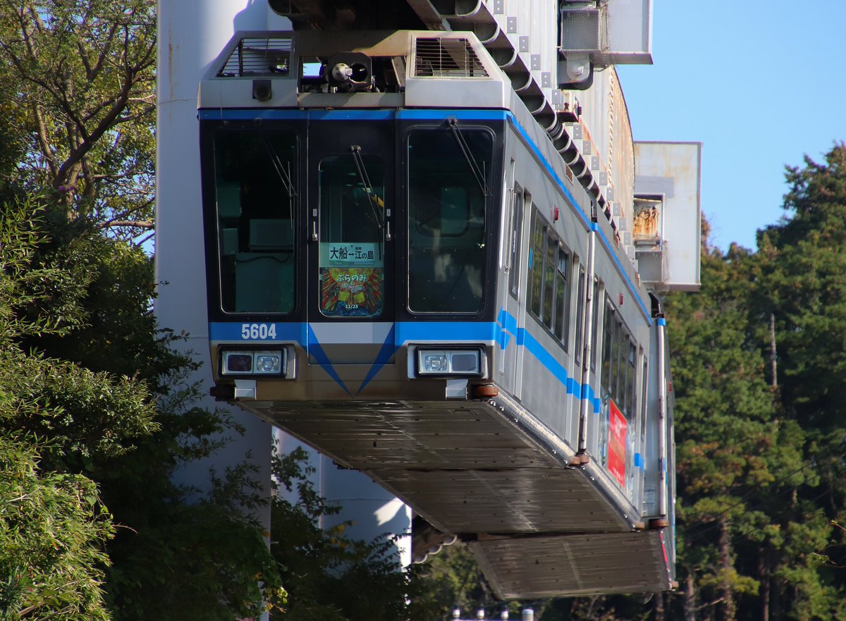 ztq_y's tweet photo. #湘南モノレール
青帯 5603F ぶらのみヘッドマーク
本日から取付け! 2023-10-27
#WuppertalerSchwebebahn 姉妹提携ラッピングも健在
#headmark #wrapping 関東 中小 地方 私鉄 鉄道 列車 small rail way shortline company train Japan https://t.co/twVH9b4Viz