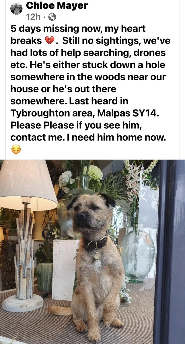 #BTPosse 
Sharing from Facebook! 
Please share and help get him home!