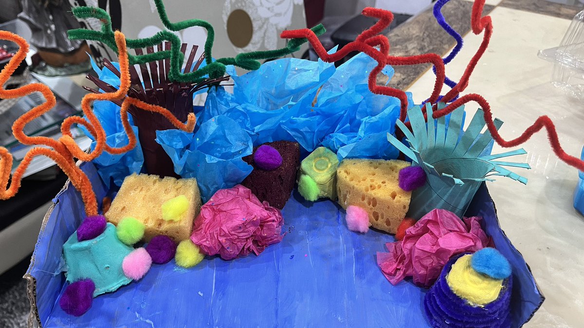 itscharszn's tweet image. what teacher’s college makes you do 🐠 

posting cuz im proud of this

#scienceclass #teacherscollege #oise