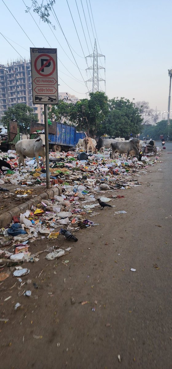 MeraGurgaon's tweet photo. Wazirabad chowk signal
Sector 56 Gurugram

@CPCB_OFFICIAL @sudhirsinglabjp @MunCorpGurugram @DC_Gurugram @mlkhattar @narendramodi @pcmeenaIAS @MaheshDayma55 @ramanmalik @TajinderBagga 

#AssemblyElections2023

Does anyone have a shame ?? 
Pics clicked at 6.41 AM
Date 27.10.2023 https://t.co/XHN8Y6xlYt
