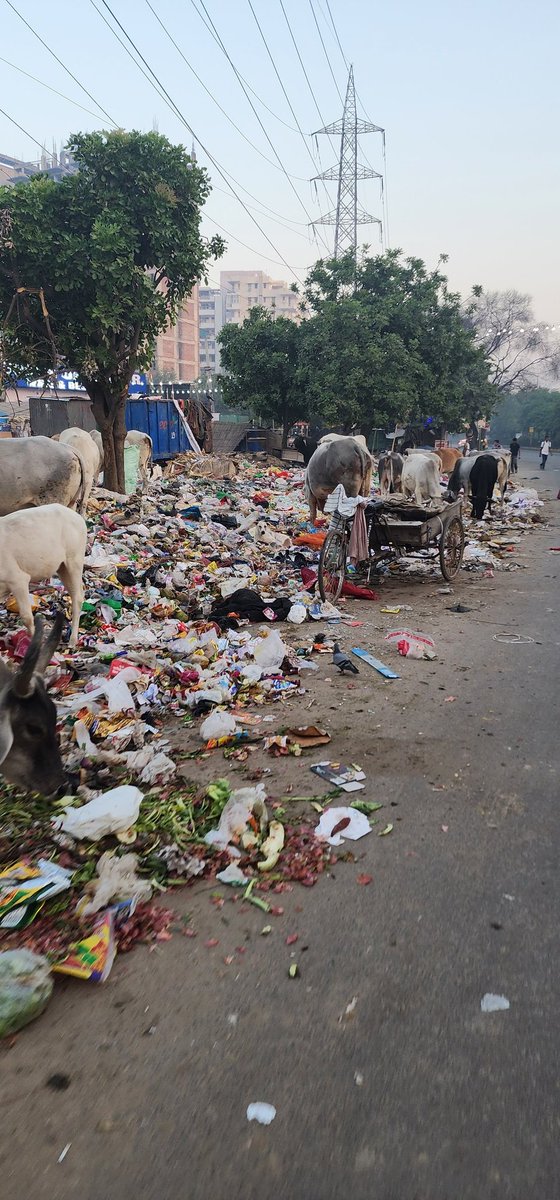 MeraGurgaon's tweet photo. Wazirabad chowk signal
Sector 56 Gurugram

@CPCB_OFFICIAL @sudhirsinglabjp @MunCorpGurugram @DC_Gurugram @mlkhattar @narendramodi @pcmeenaIAS @MaheshDayma55 @ramanmalik @TajinderBagga 

#AssemblyElections2023

Does anyone have a shame ?? 
Pics clicked at 6.41 AM
Date 27.10.2023 https://t.co/XHN8Y6xlYt
