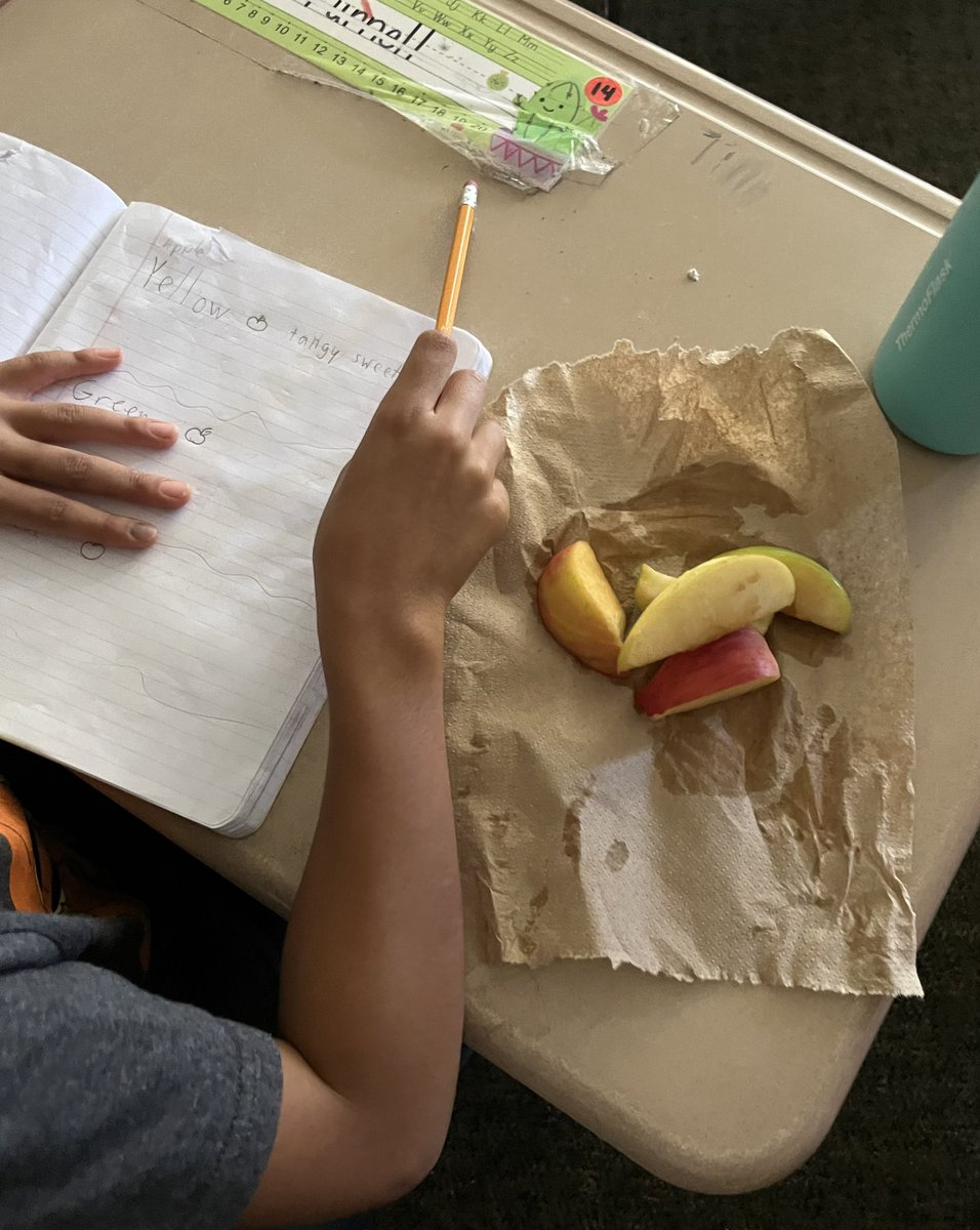 Ms_CatDean's tweet image. An apple a day keeps the boredom away in 2nd grade! 🍎 After diving into apple research during EL, our young scientists had a blast with hands-on experiments, including making homemade applesauce. 🍏🧃 #LearningThroughFun"
