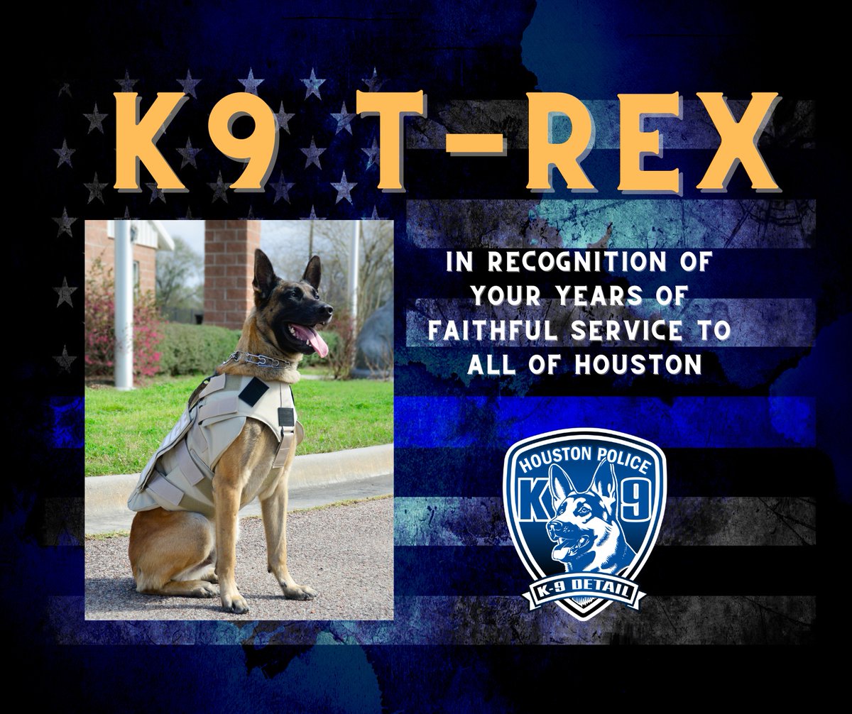 I'm deeply saddened to share that today we said goodbye to our beloved T-Rex.

T-Rex patrolled Houston's streets beginning in 2015, bringing fugitives to justice even while battling bone cancer.

Please keep his handler in your thoughts &amp; prayers. 

T-Rex, you are an inspiration.