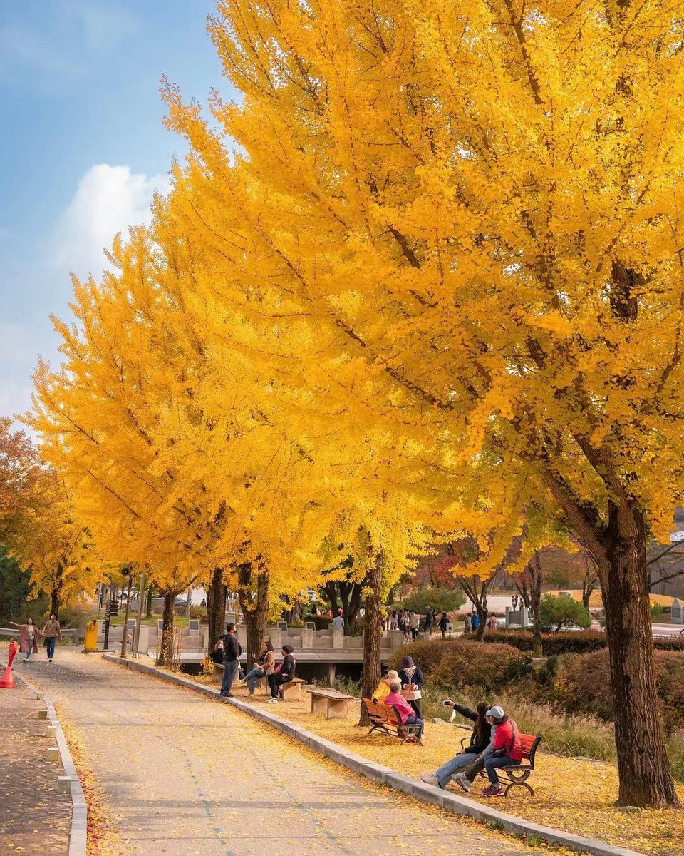 ideabox7's tweet image. 이번주 단풍 절정 예정 출동출동 - ALLTHATTRAVEL - go.shr.lc/46Nc91r