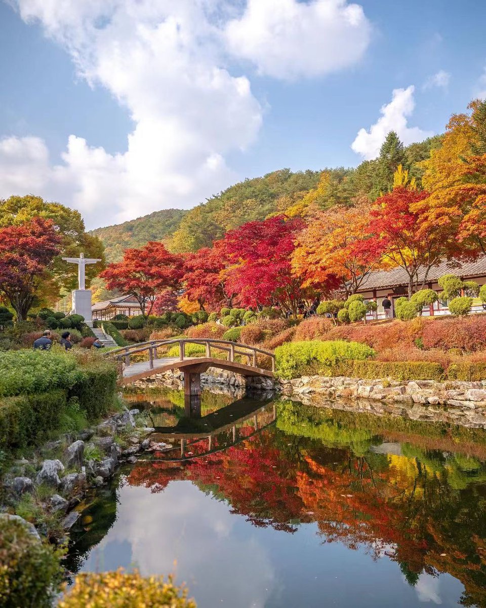 ideabox7's tweet image. 이번주 단풍 절정 예정 출동출동 - ALLTHATTRAVEL - go.shr.lc/46Nc91r