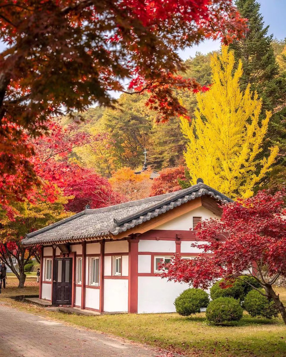 ideabox7's tweet image. 이번주 단풍 절정 예정 출동출동 - ALLTHATTRAVEL - go.shr.lc/46Nc91r