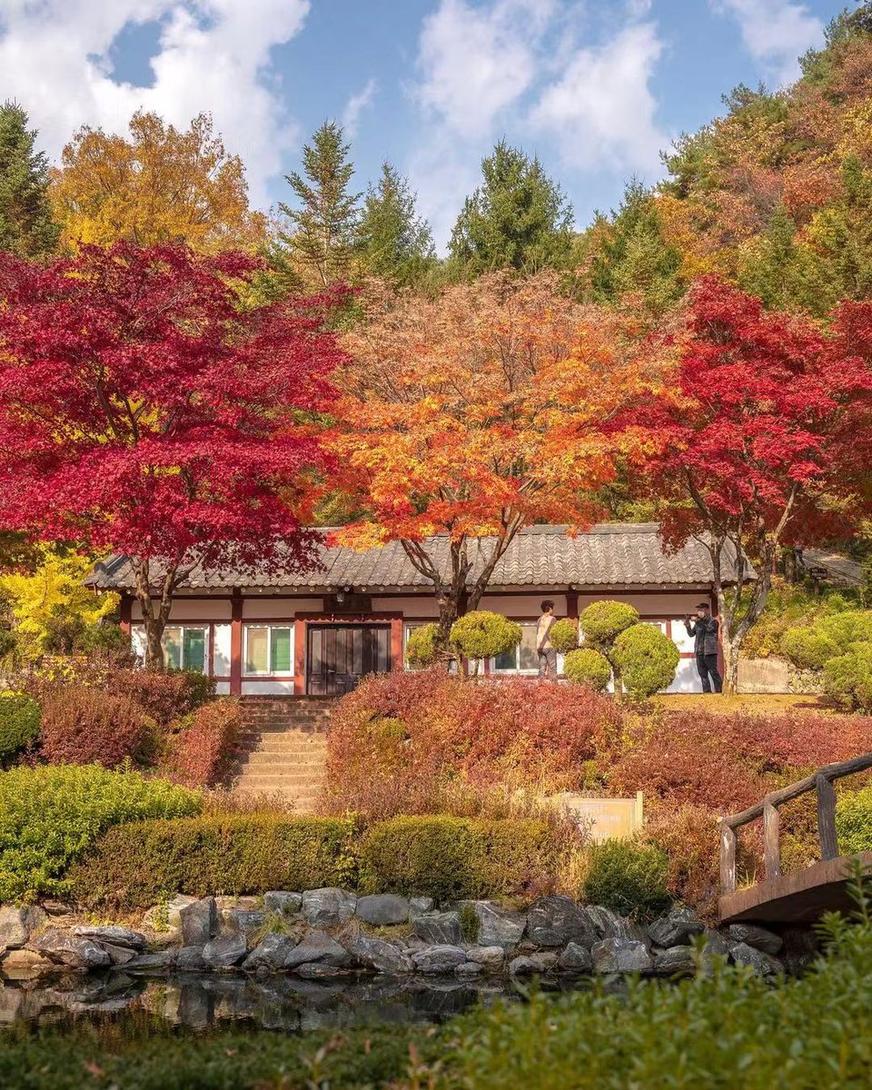 ideabox7's tweet image. 이번주 단풍 절정 예정 출동출동 - ALLTHATTRAVEL - go.shr.lc/46Nc91r