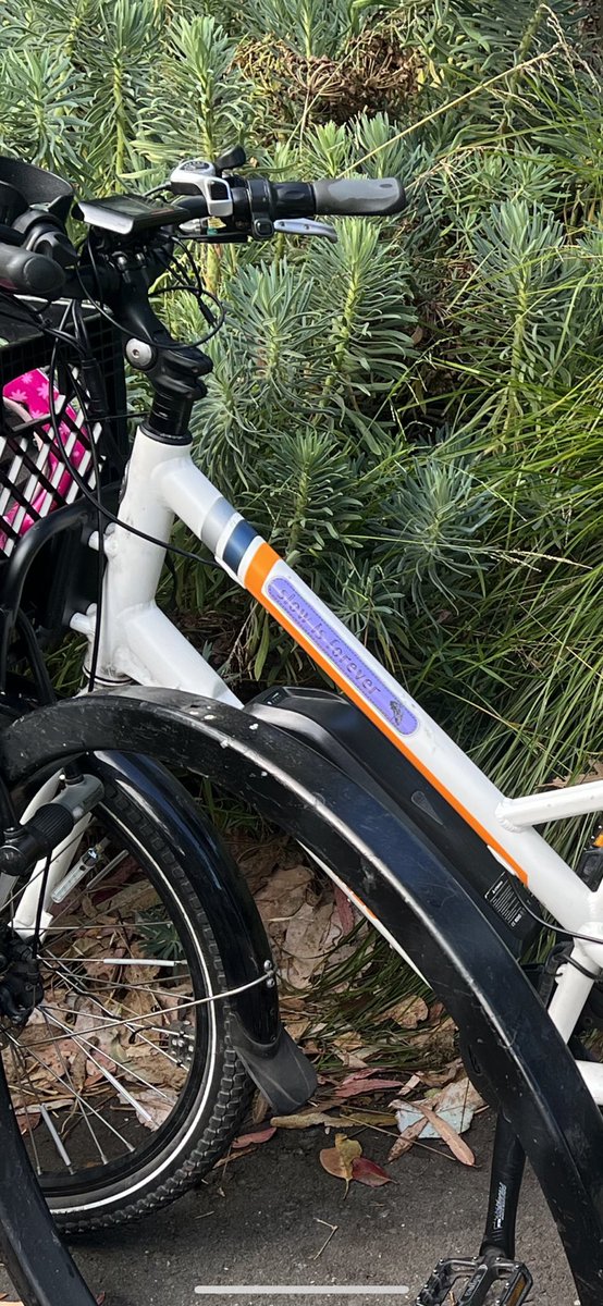 Matt Brezina 🌳 🌊 tweet media