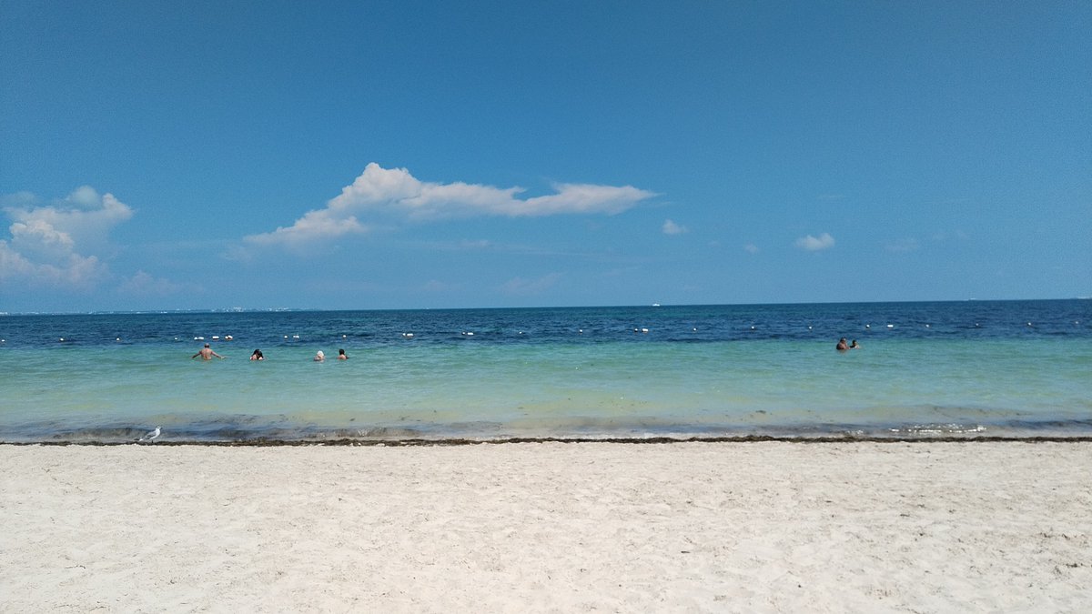 <a href="/RenanSanchez_/">Renán Sánchez Tajonar</a> <a href="/ExpansionMx/">Expansión</a> #QuintanaRooPrimero #CaribeMexicano <a href="/mapachestec/">@MAPACHESTec</a>
<a href="/fanynyacevedo/">Steph🦊</a> <a href="/diana_uan/">Diana Uan</a> <a href="/david_cahu60106/">Jesus David Moo Cahuich</a> <a href="/ivonne_0400/">Ariana Ivonne Medina Chan</a> @ZaidaDChan <a href="/DianaEstefanaC6/">Diana Estefanía Coronado Ruíz</a>
<a href="/loriaedilbertoo/">Edy Loria</a>