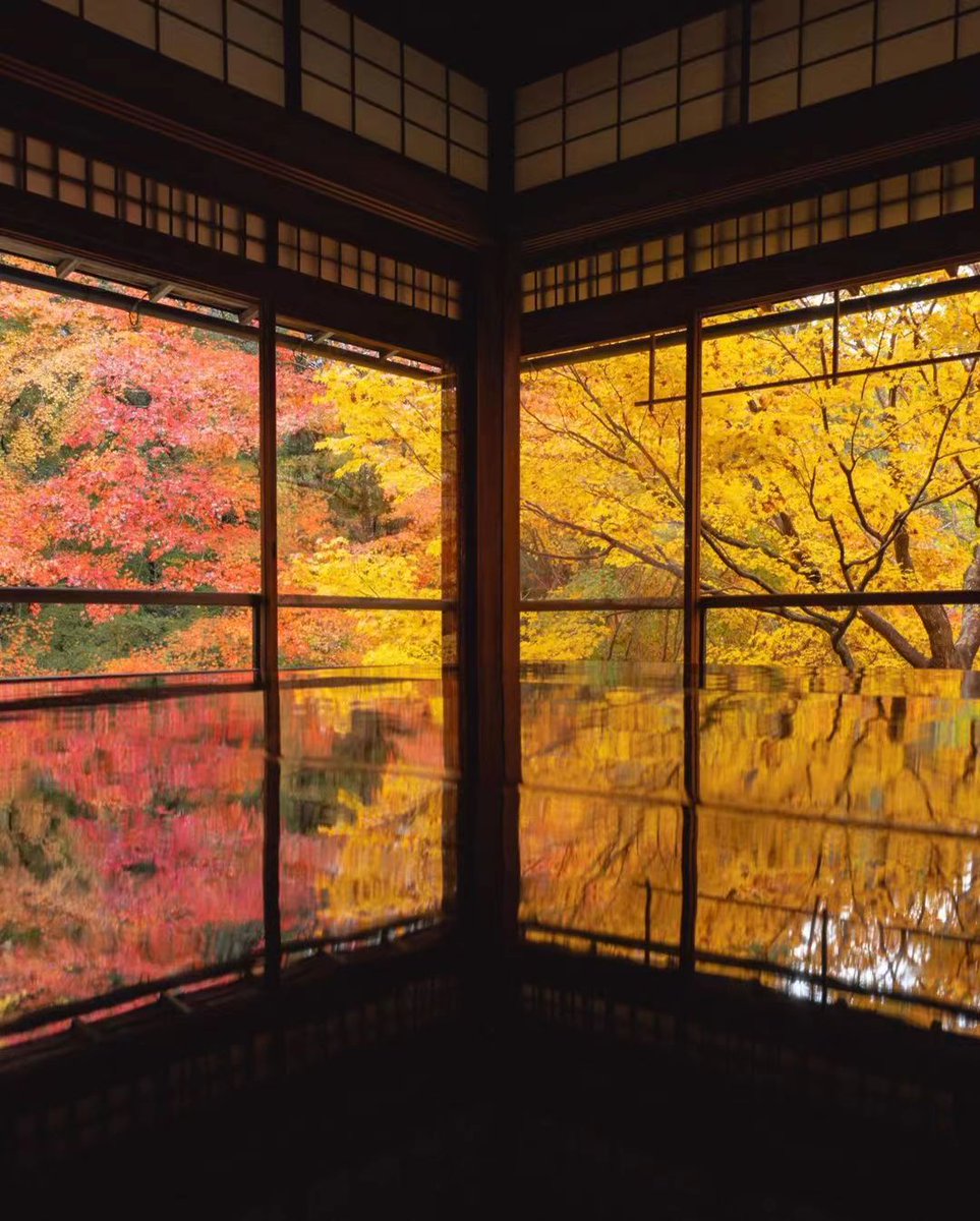 ideabox7's tweet image. 이곳은 가을을 비추는 거울이다. 교토의 가을 중 한 곳만 간다면, 반드시 가야할 곳 #루리코인 - ALLTHATTRAVEL - go.shr.lc/3QfSiko