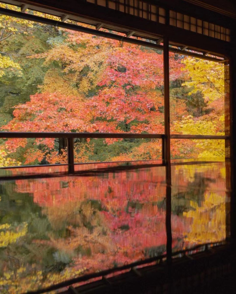 ideabox7's tweet image. 이곳은 가을을 비추는 거울이다. 교토의 가을 중 한 곳만 간다면, 반드시 가야할 곳 #루리코인 - ALLTHATTRAVEL - go.shr.lc/3QfSiko