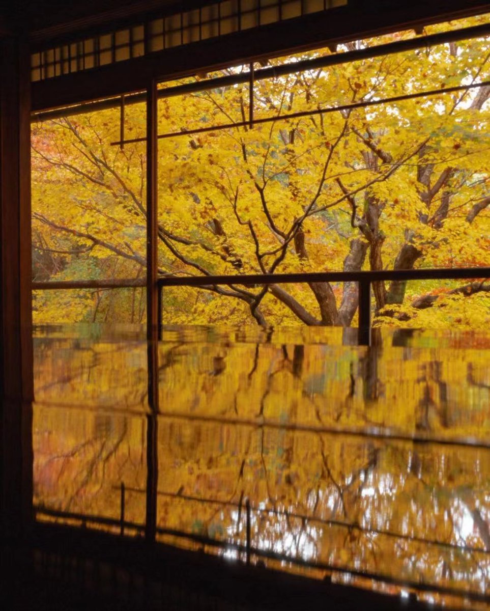 ideabox7's tweet image. 이곳은 가을을 비추는 거울이다. 교토의 가을 중 한 곳만 간다면, 반드시 가야할 곳 #루리코인 - ALLTHATTRAVEL - go.shr.lc/3QfSiko