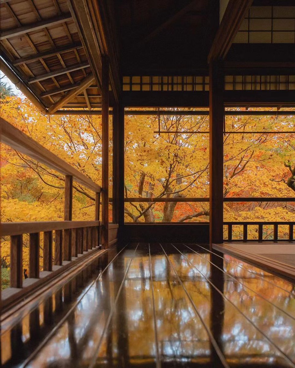 ideabox7's tweet image. 이곳은 가을을 비추는 거울이다. 교토의 가을 중 한 곳만 간다면, 반드시 가야할 곳 #루리코인 - ALLTHATTRAVEL - go.shr.lc/3QfSiko
