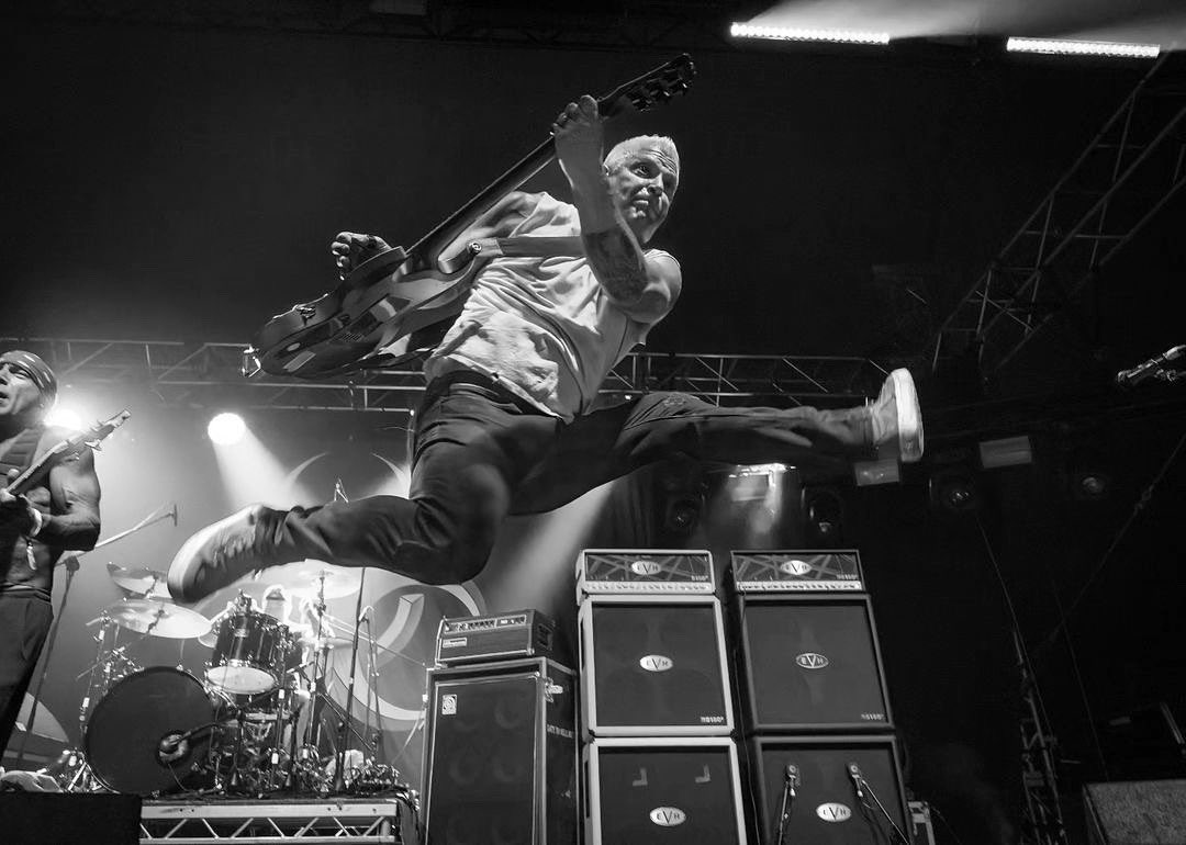 BillyBio tweet media