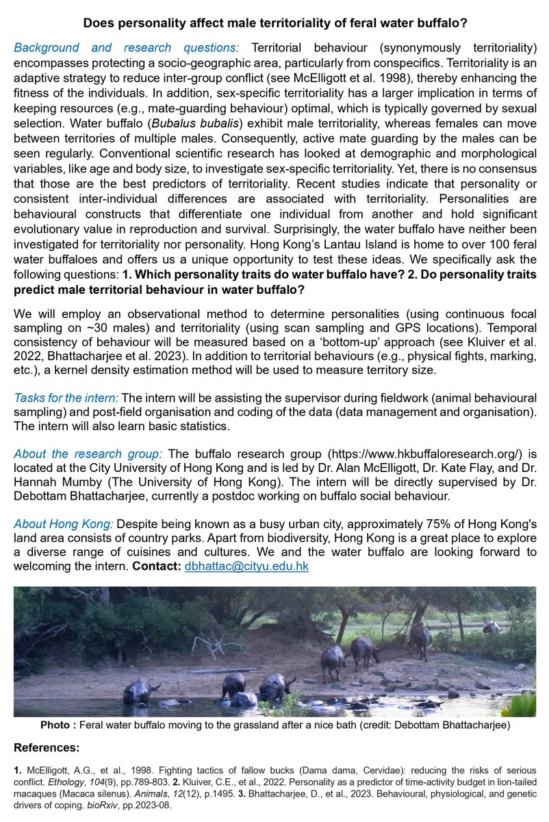 AppliedEcoLab's tweet image. 📣Opportunity for German undergraduate students📣

Summer internship funded by DAAD on Lantau Buffalo personality. Come to Hong Kong and discover more about these free ranging animals.

Project number HK-BI_BI-5996.

daad.de/rise/en/rise-w…