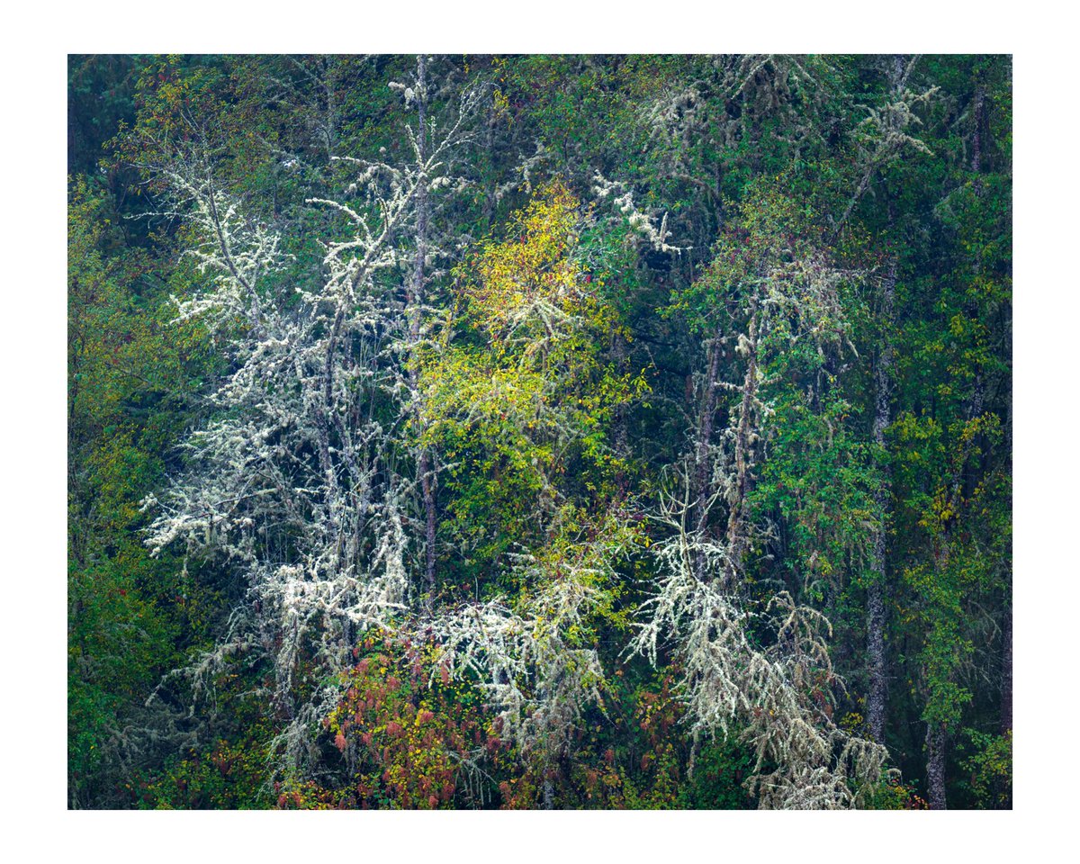 Jack Krohn tweet media