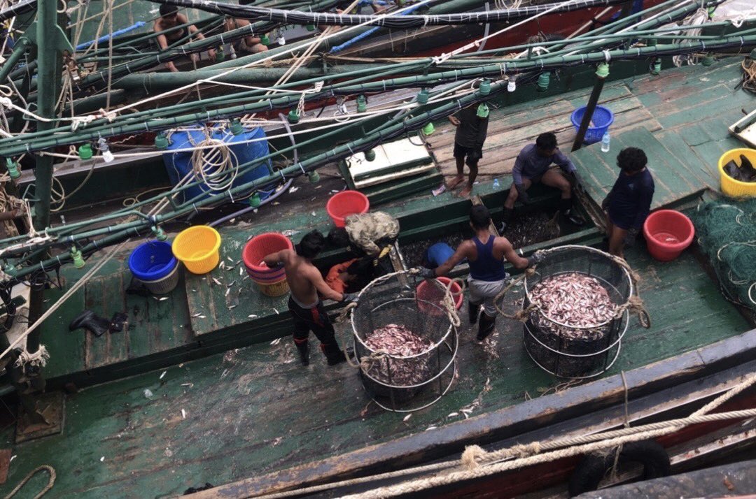 NKFISHMEAL's tweet photo. October 26,2023 https://t.co/x8djff378j