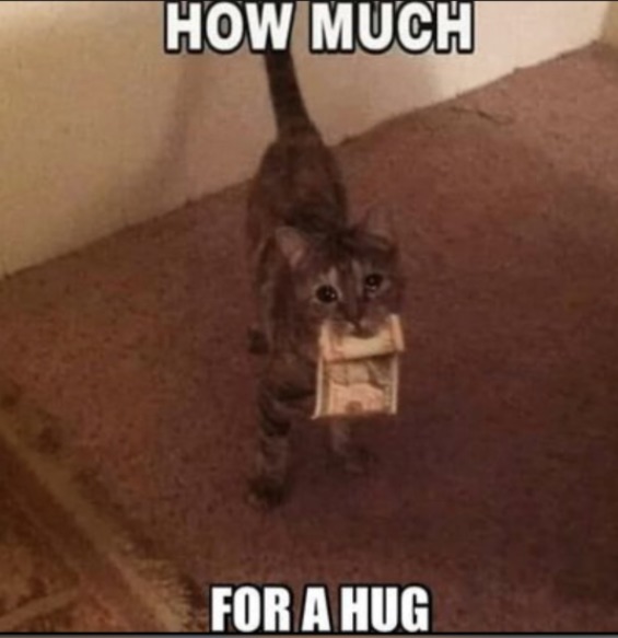 angelakulig's tweet image. The email I just sent to my readers was so, so hard to write. I knew it would be. I tried to write it so many times and failed spectacularly. I should be happy it's done, but it still hurts #WritingCommmunity  #INeedaHug