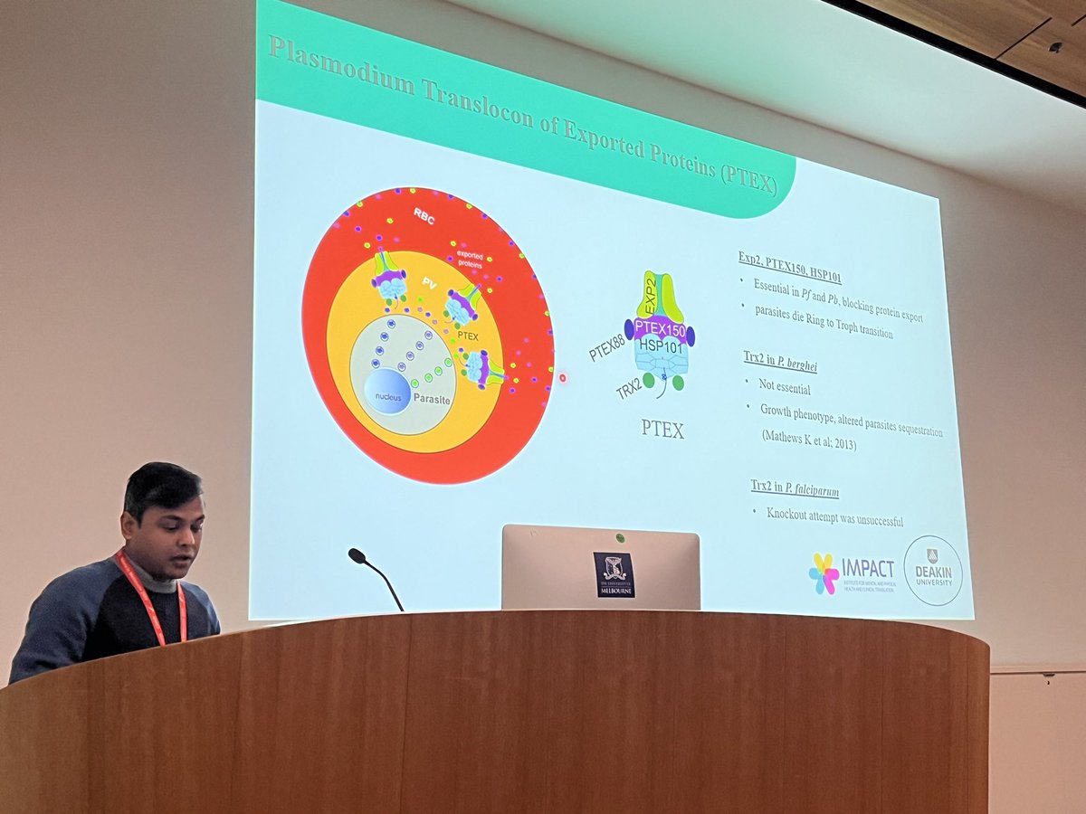 Joyanta Modak ends our short talk session with an investigation into the role of TRX2 in trafficking malaria virulence proteins.

#MIM2023
#malariamelb23