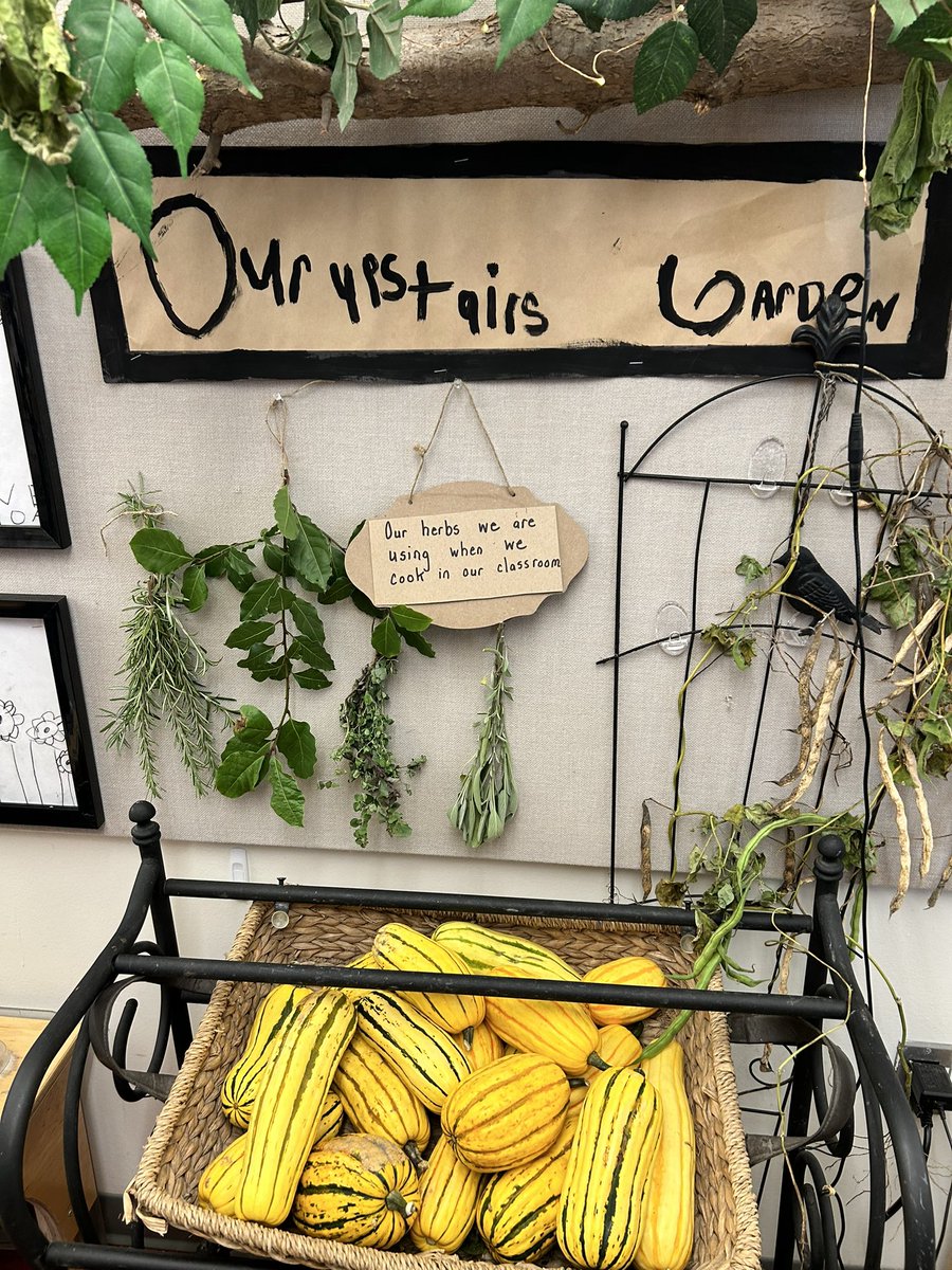 MissNantais's tweet photo. Peak inside our @EY_uwindsor field trip to Dr. David Suzuki PS! A magical place that cultivates imagination, nature, and play — even for adult teacher candidates! Our brains were buzzing with how we can learn through play in our future classrooms! @joanne_pizzuto @JBrentECE https://t.co/LVCSIDL15D