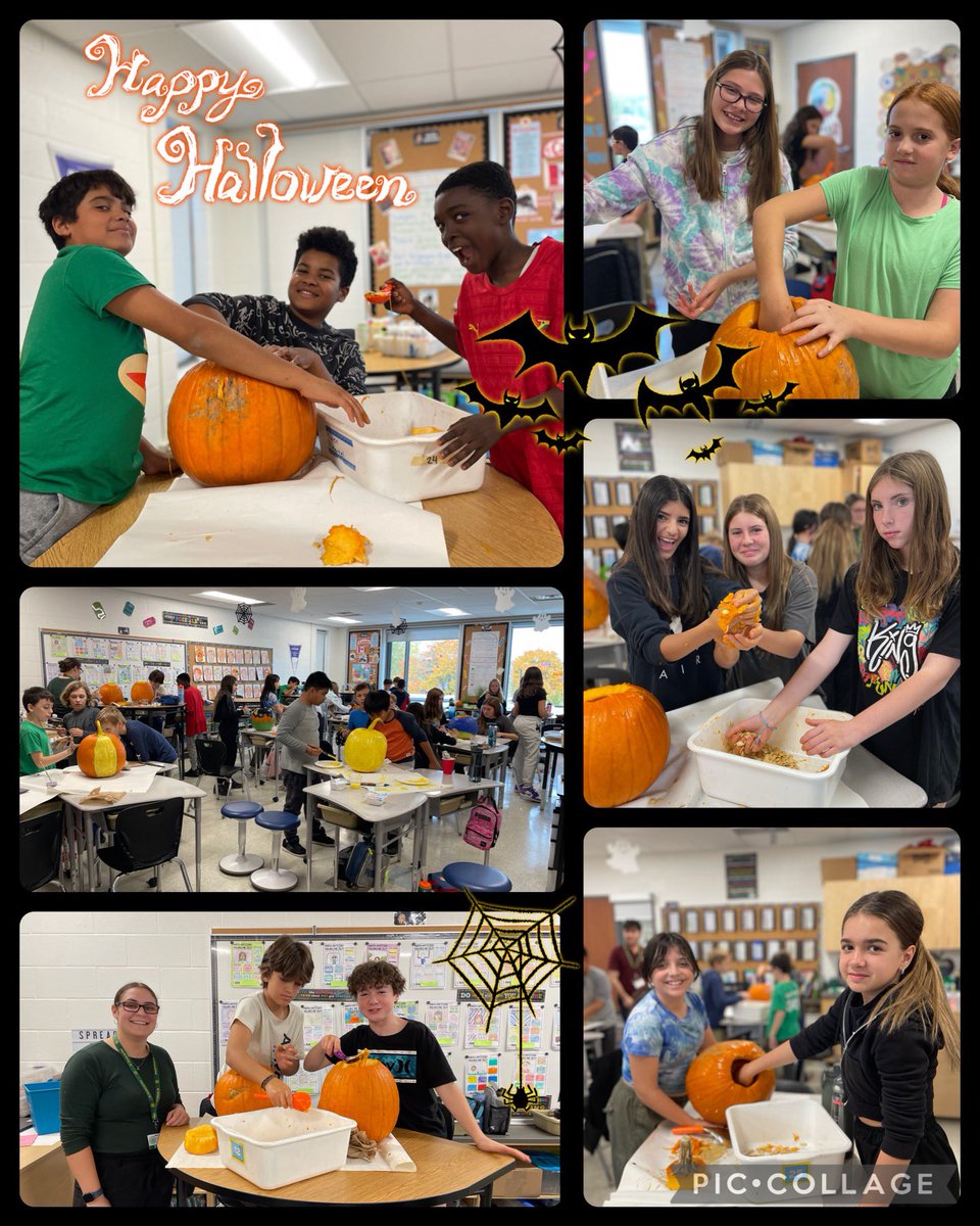 Mrs. Beamer tweet media