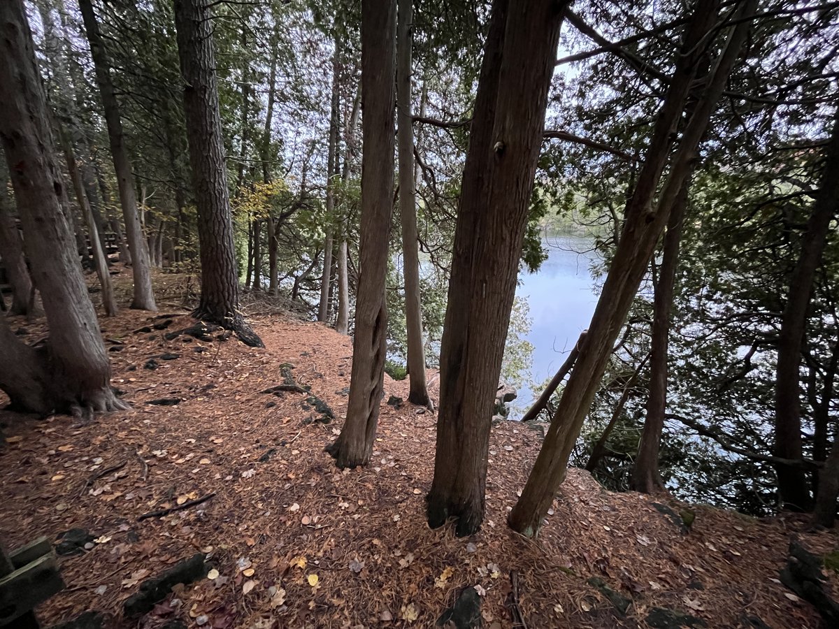 Bryan Shuman | Promote democracy, condemn violence tweet media