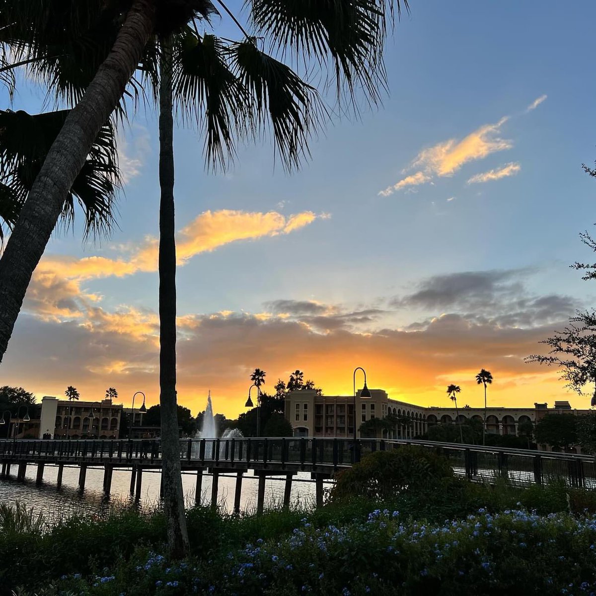 Florida Association for the Gifted tweet media