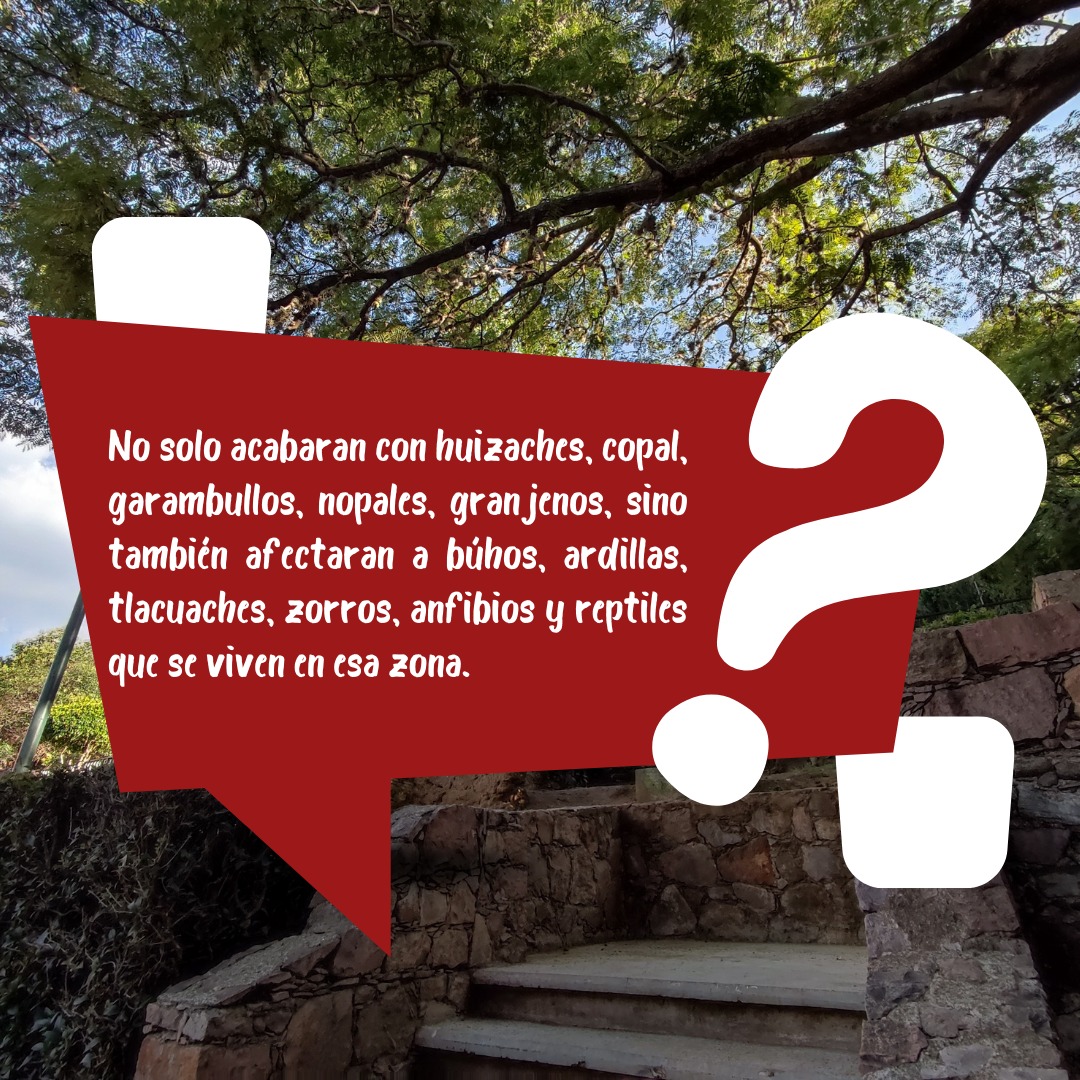 Ernesto Millan Soberanes (@millansoberanes) on Twitter photo 