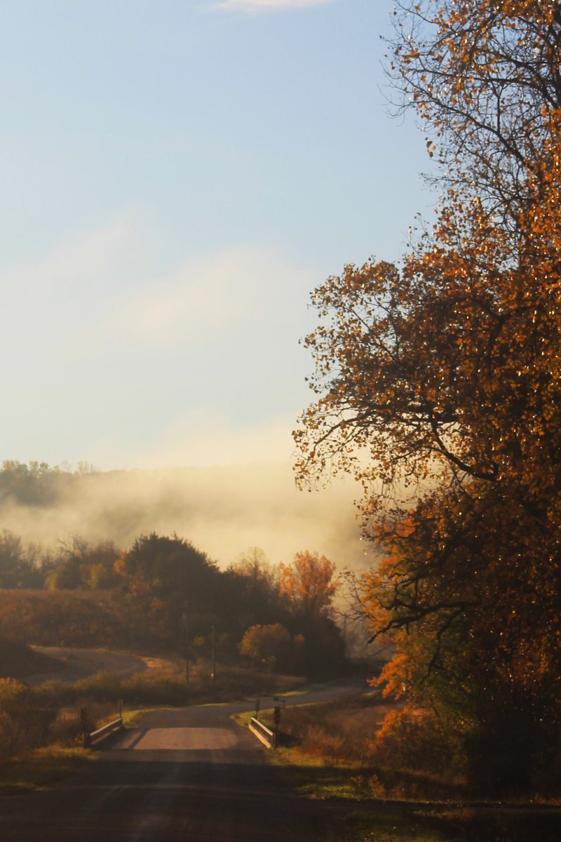 Jim Brown tweet media