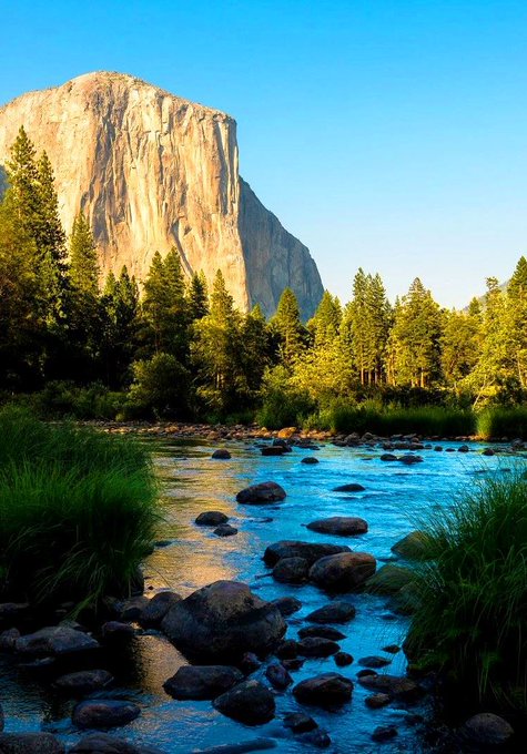 Scenic Yosemite National Park on a clear summer day