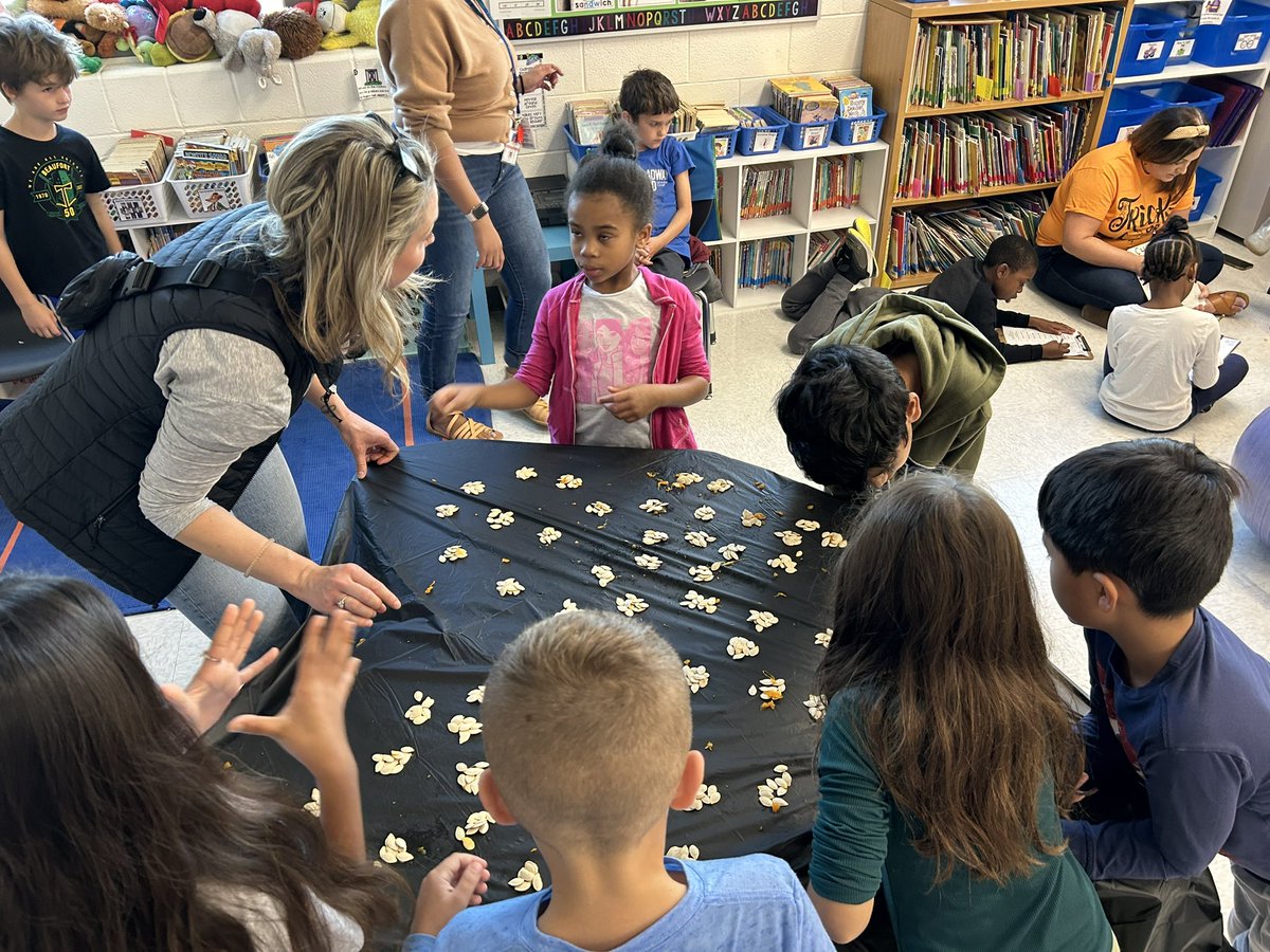 Lisa Cioffi tweet media